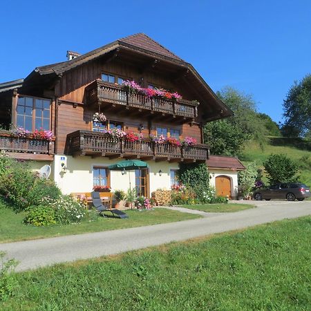 Ferienwohnung Brigitte Perner Нусдорф-ам-Аттерзее Экстерьер фото